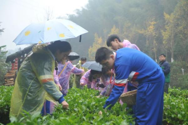 秦谷田園之桃源茶農(nóng)